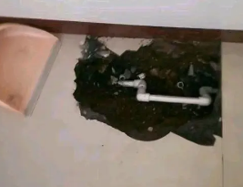 德惠卫生间测漏水多少钱